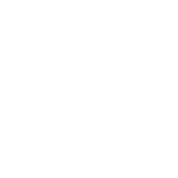 ce logo Stuart