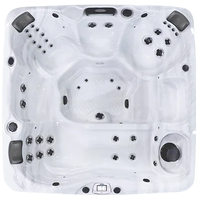 Avalon-X EC-840LX hot tubs for sale in Stuart