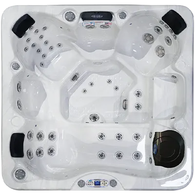 Avalon EC-849L hot tubs for sale in Stuart