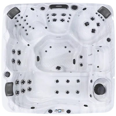 Avalon EC-867L hot tubs for sale in Stuart